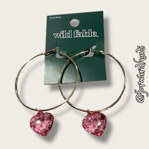 Bundle Sale 3 for $15 | Wild Fable Nickel-Free Gold Tone Hoop Earrings with Pink